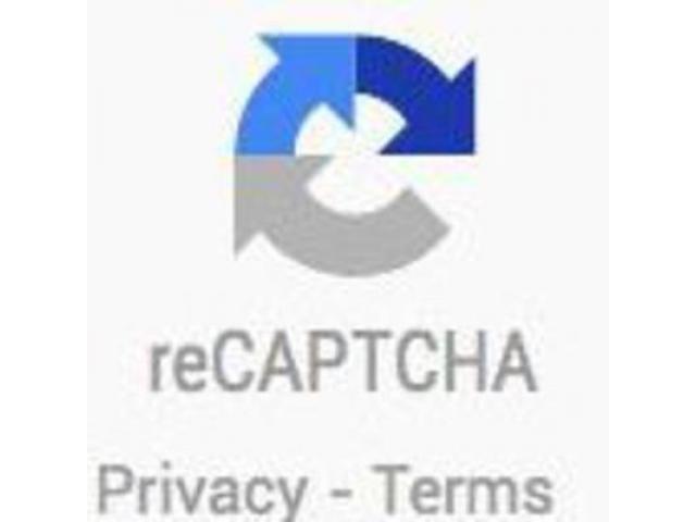 noCaptcha reCaptcha - 1
